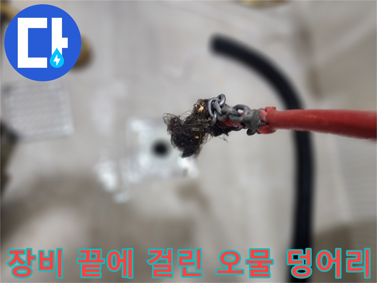스케일링 장비로 제거한 머리카락과 슬러지 뭉치