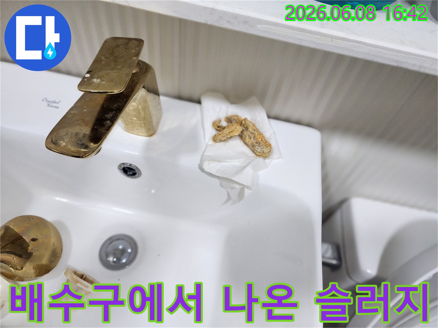 화장실 배수구 근처에서 추출한 오염된 슬러지 덩어리