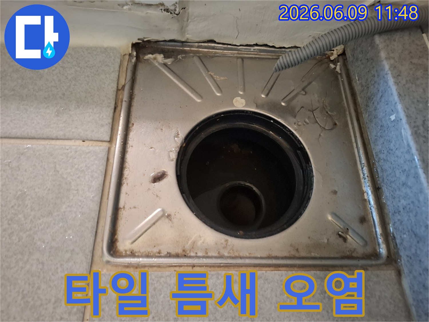 배수구-안쪽-하수관의-오염과-연결-부위의-누수-징후를-점검하는-사진입니다.