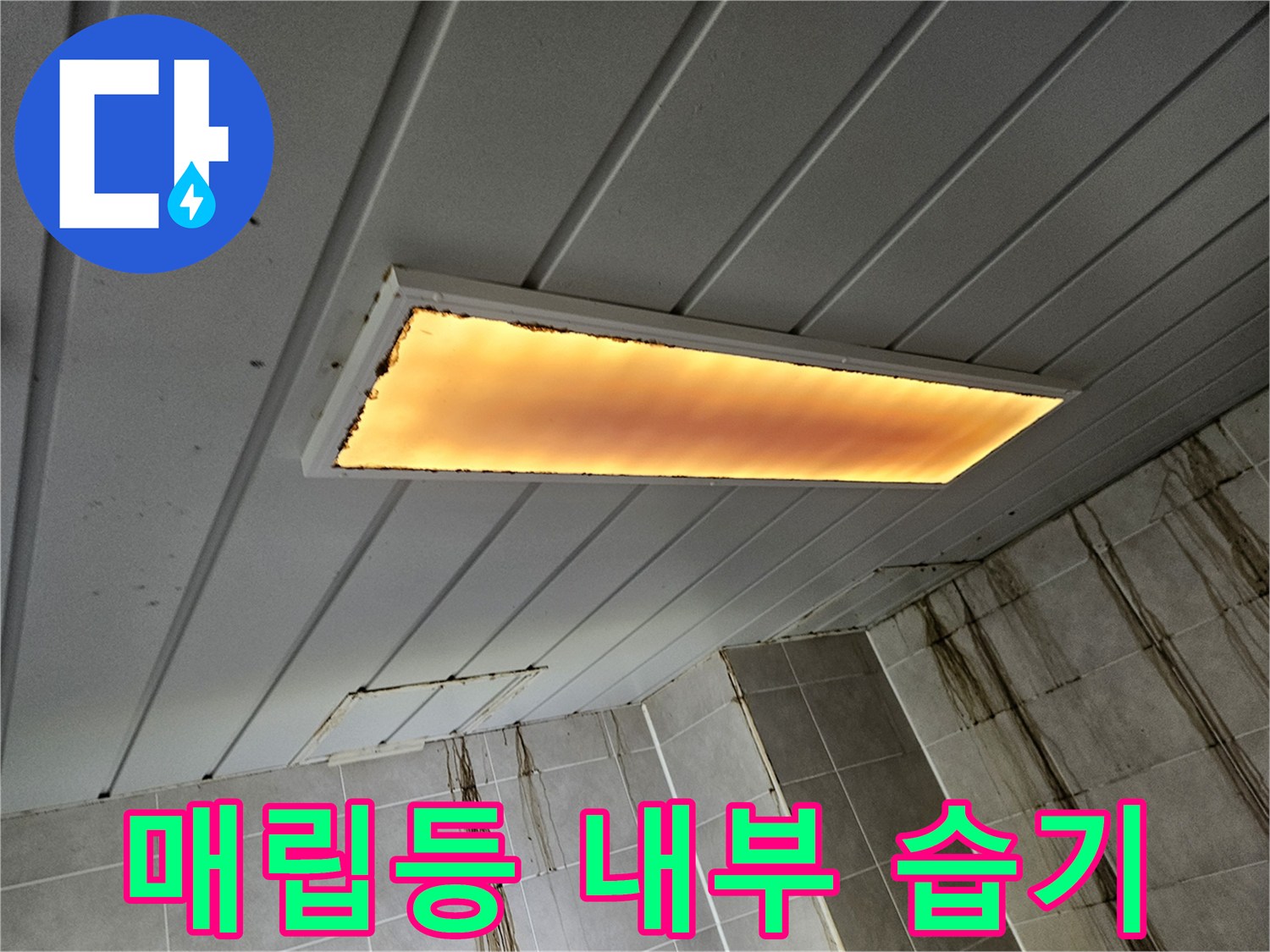 천장-조명-내부-물고임-상태-촬영