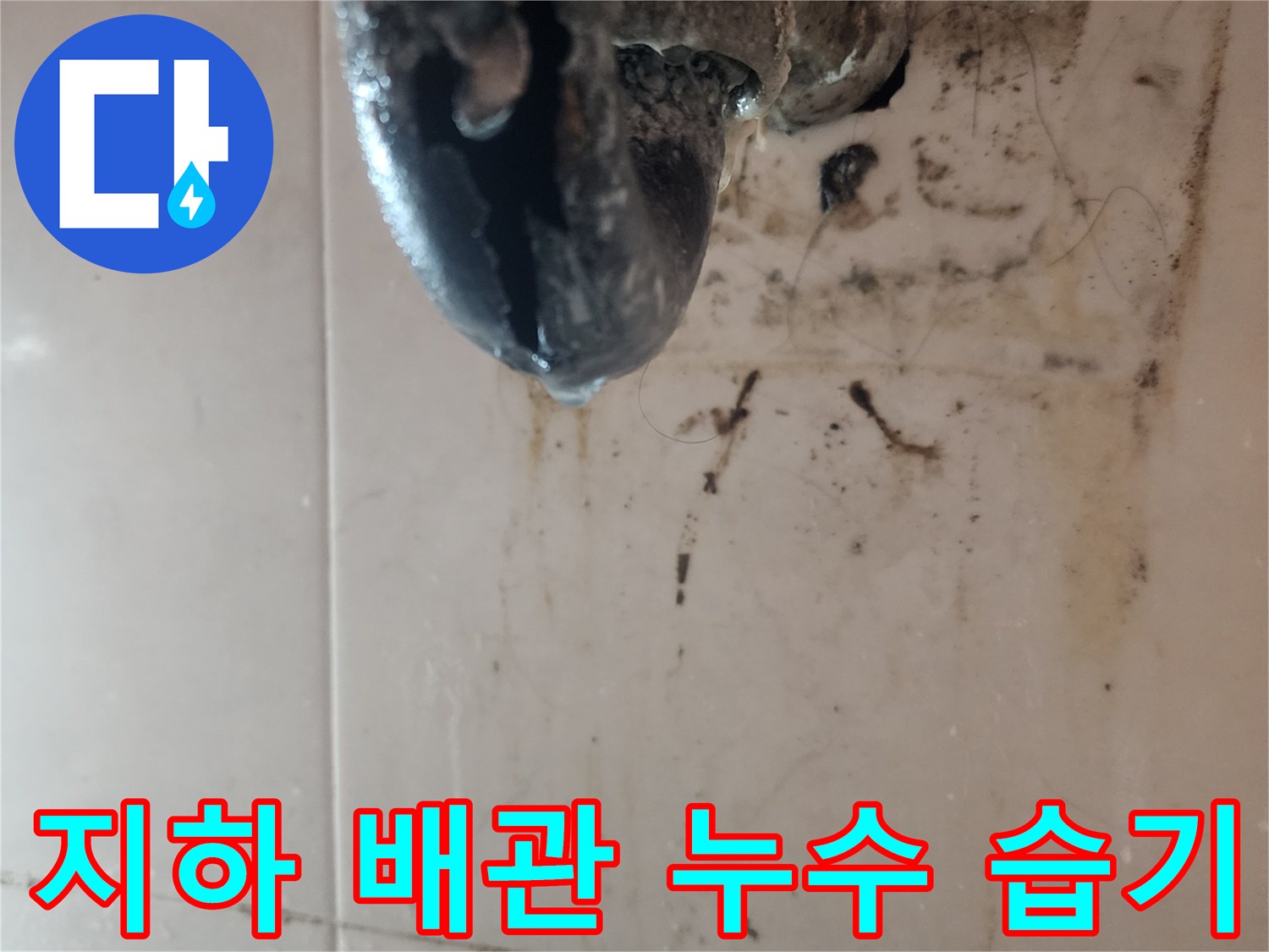 지하-배관에서-발생한-누수로-인해-심한-습기와-곰팡이가-생긴-현장을-보여주는-사진입니다
