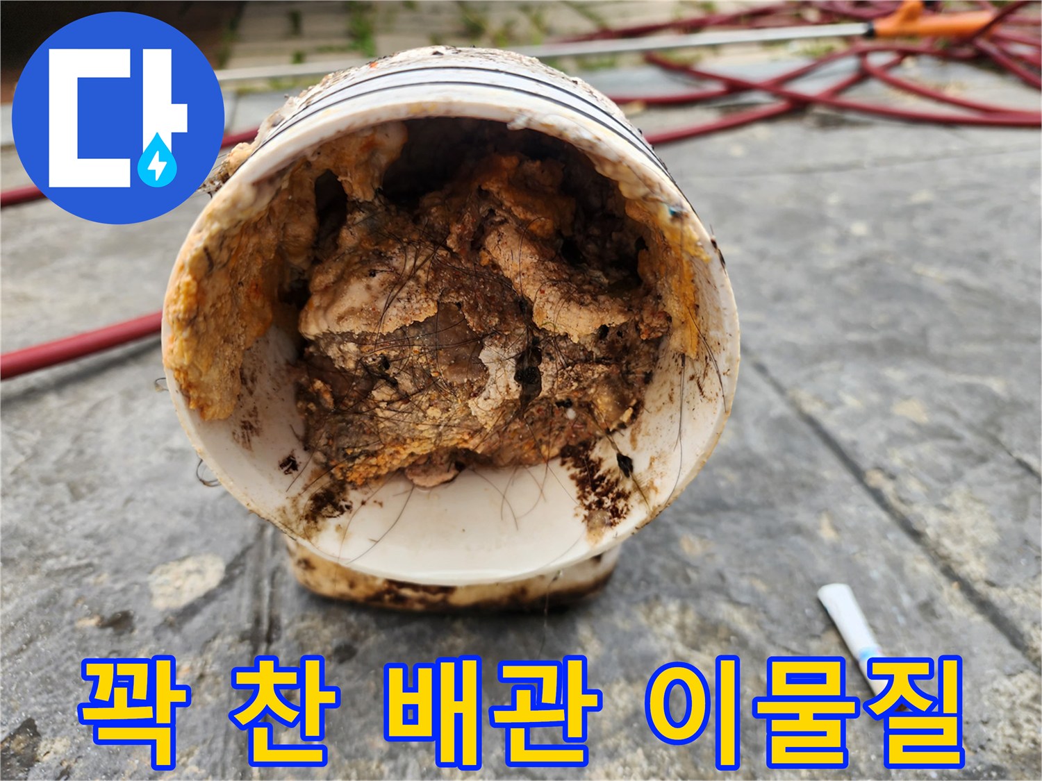 배수 통로를 막고 있는 거대한 유기물 덩어리