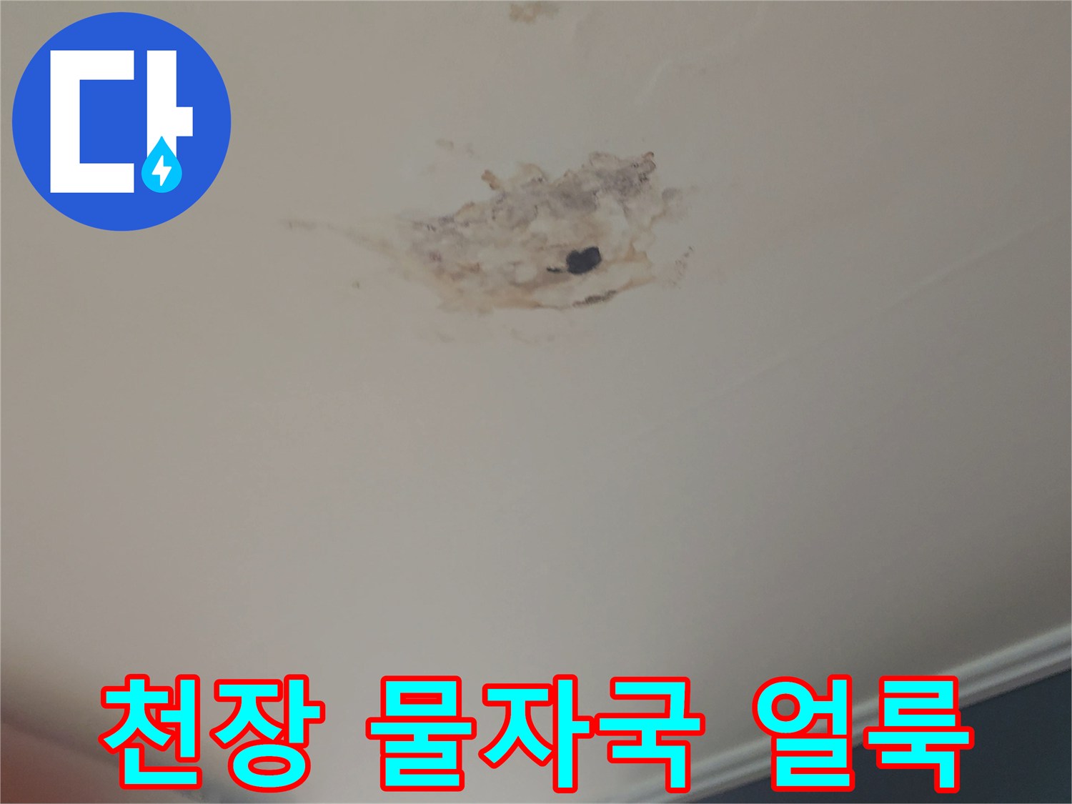 동작구-사당동-현장-천장-누수-오염-상세