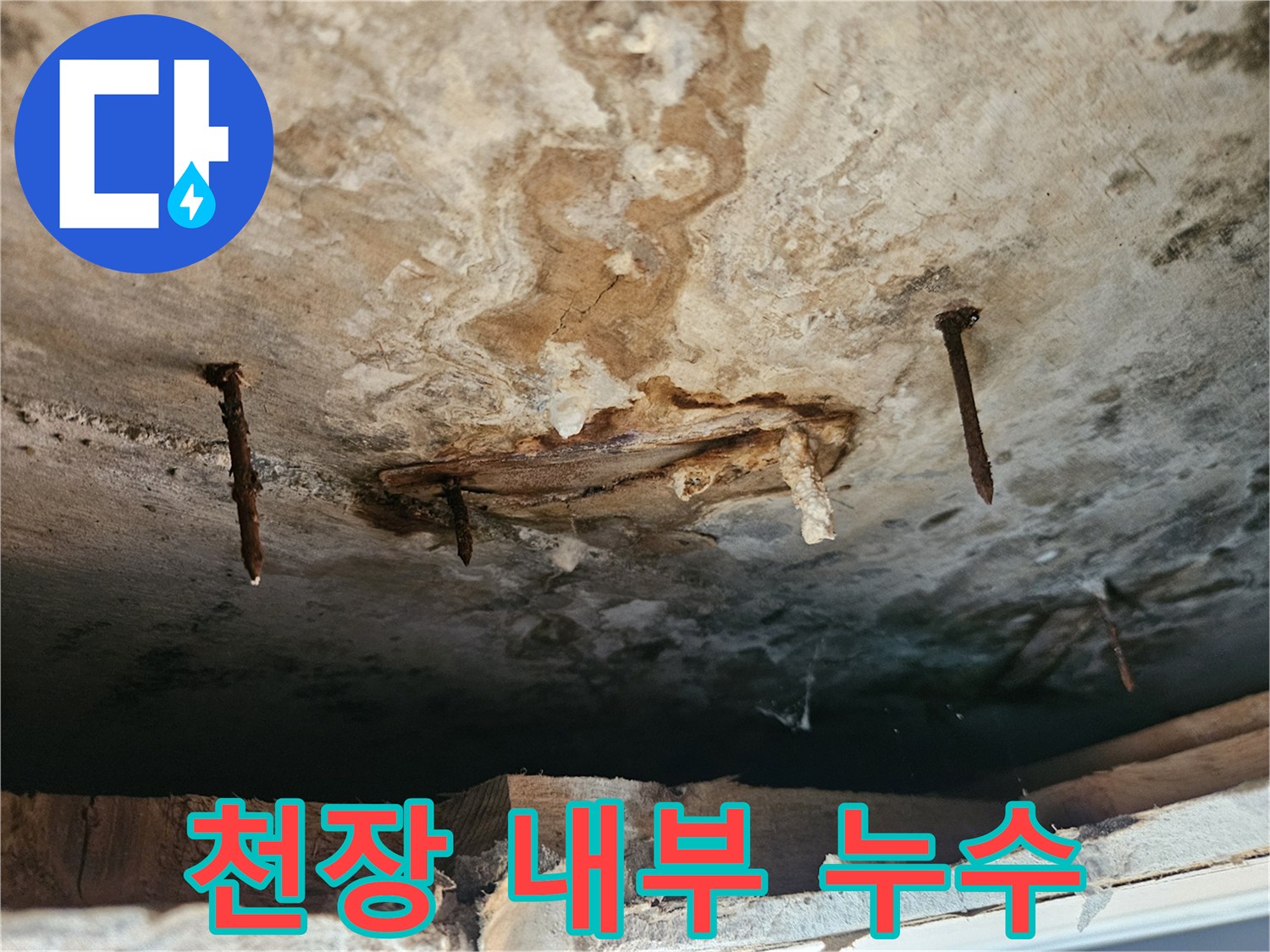 천장-내부-배관-주위-물샘-및-오염-상태-기록