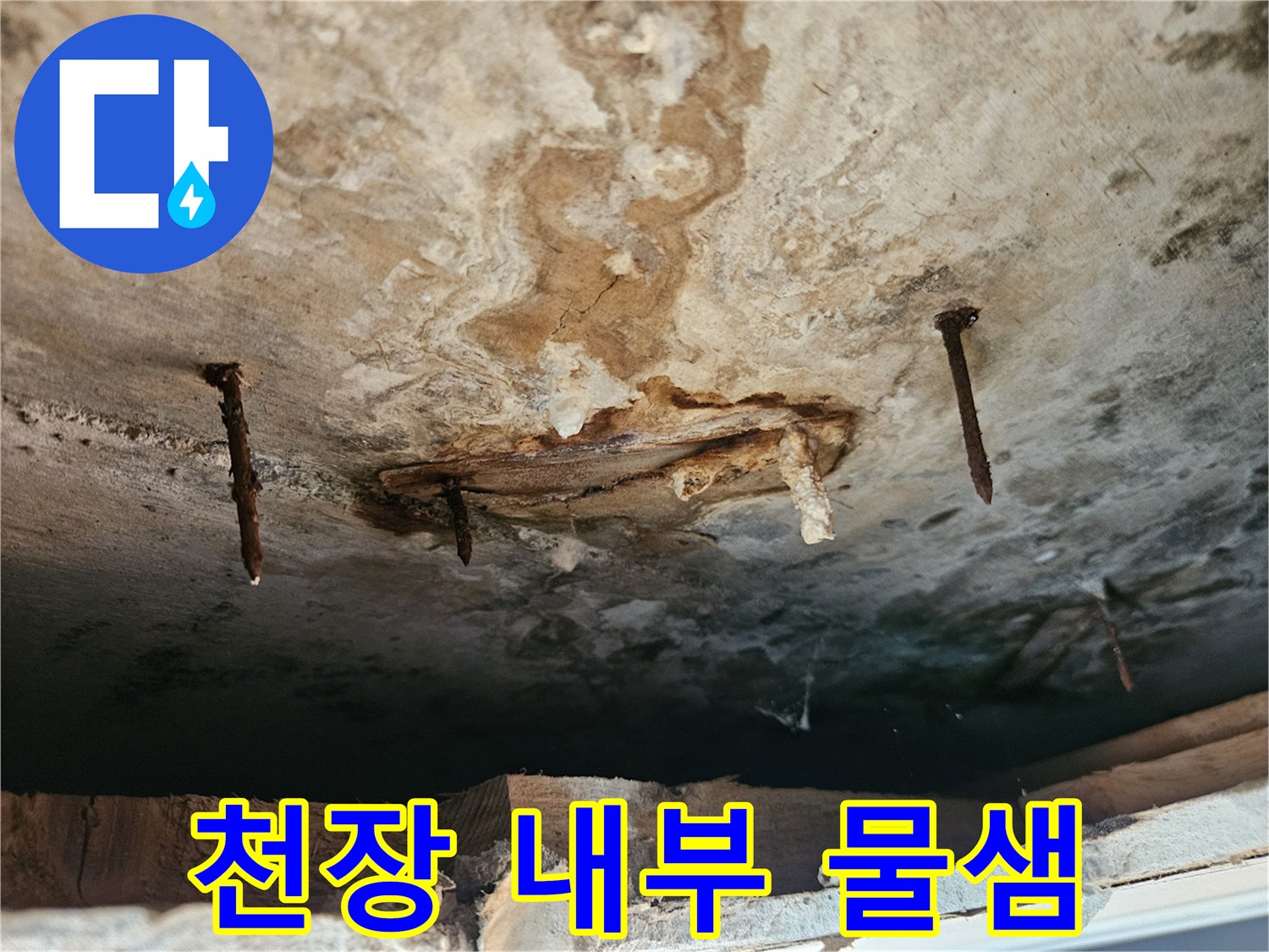 천장 절개 후 드러난 배관 주변의 젖은 상태