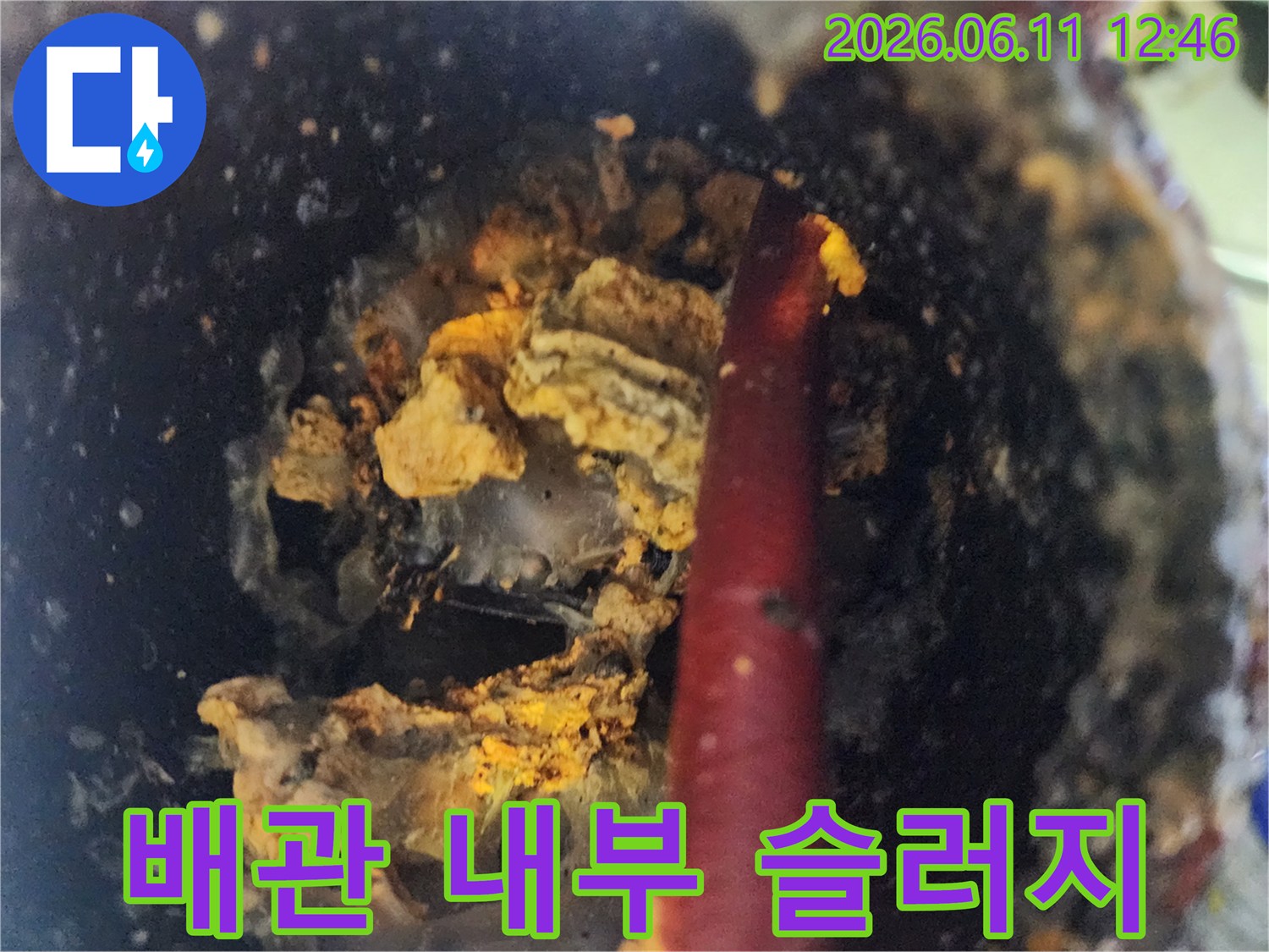 배수관 내부에 쌓인 누런 기름 덩어리와 퇴적물