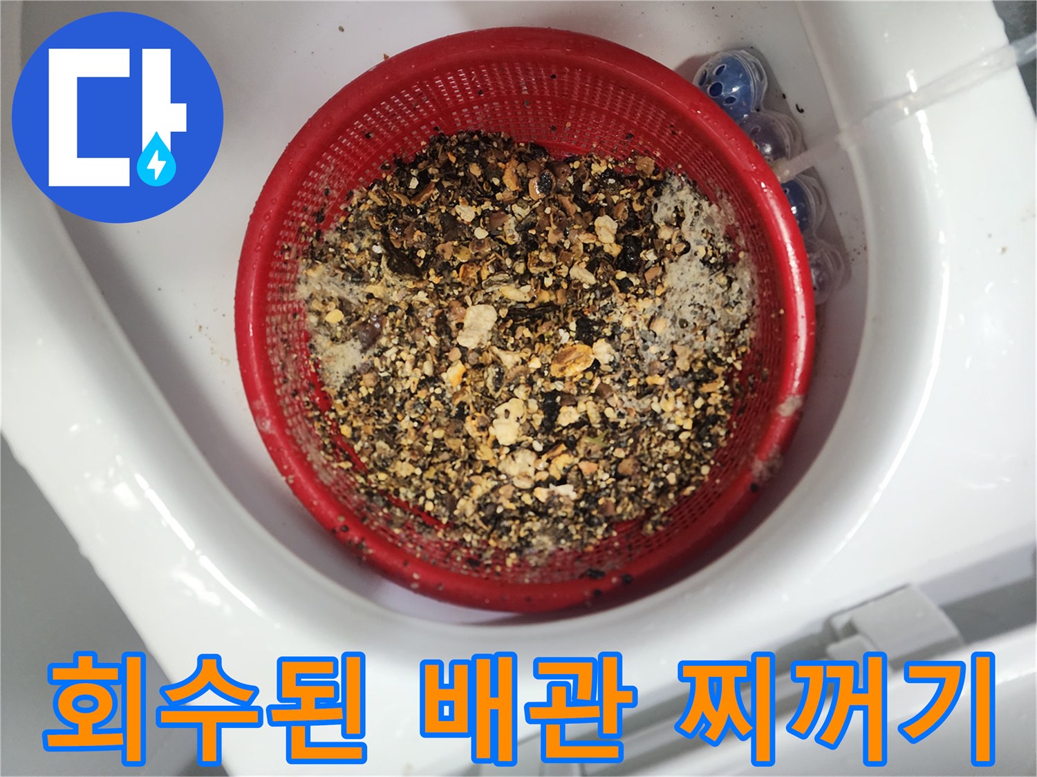 빨간 체에 걸러진 배관 내부 오물 덩어리