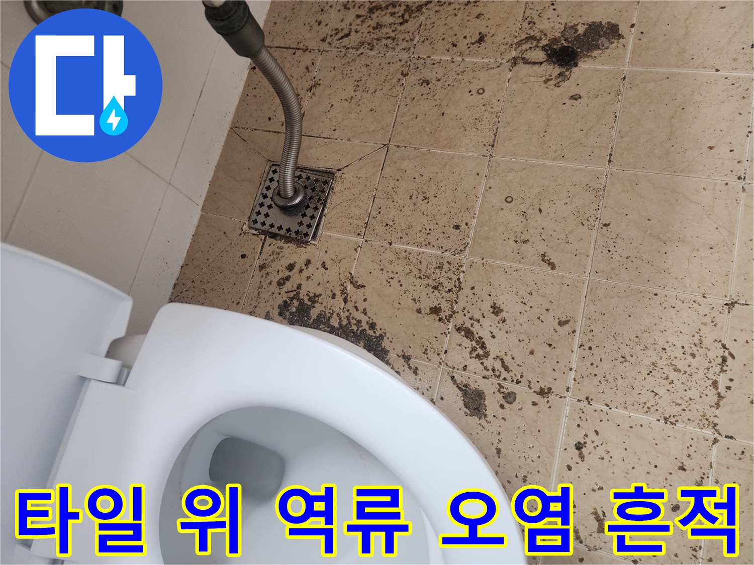 남양주 금곡동-변기 옆 바닥 배수구와 주변 타일의 오염된 상태