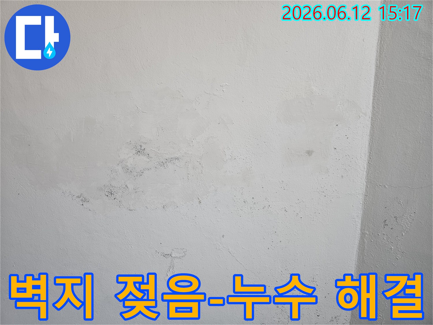 벽지가 젖고 곰팡이가 피어난 모습으로-명확한 누수 문제임을 보여줍니다