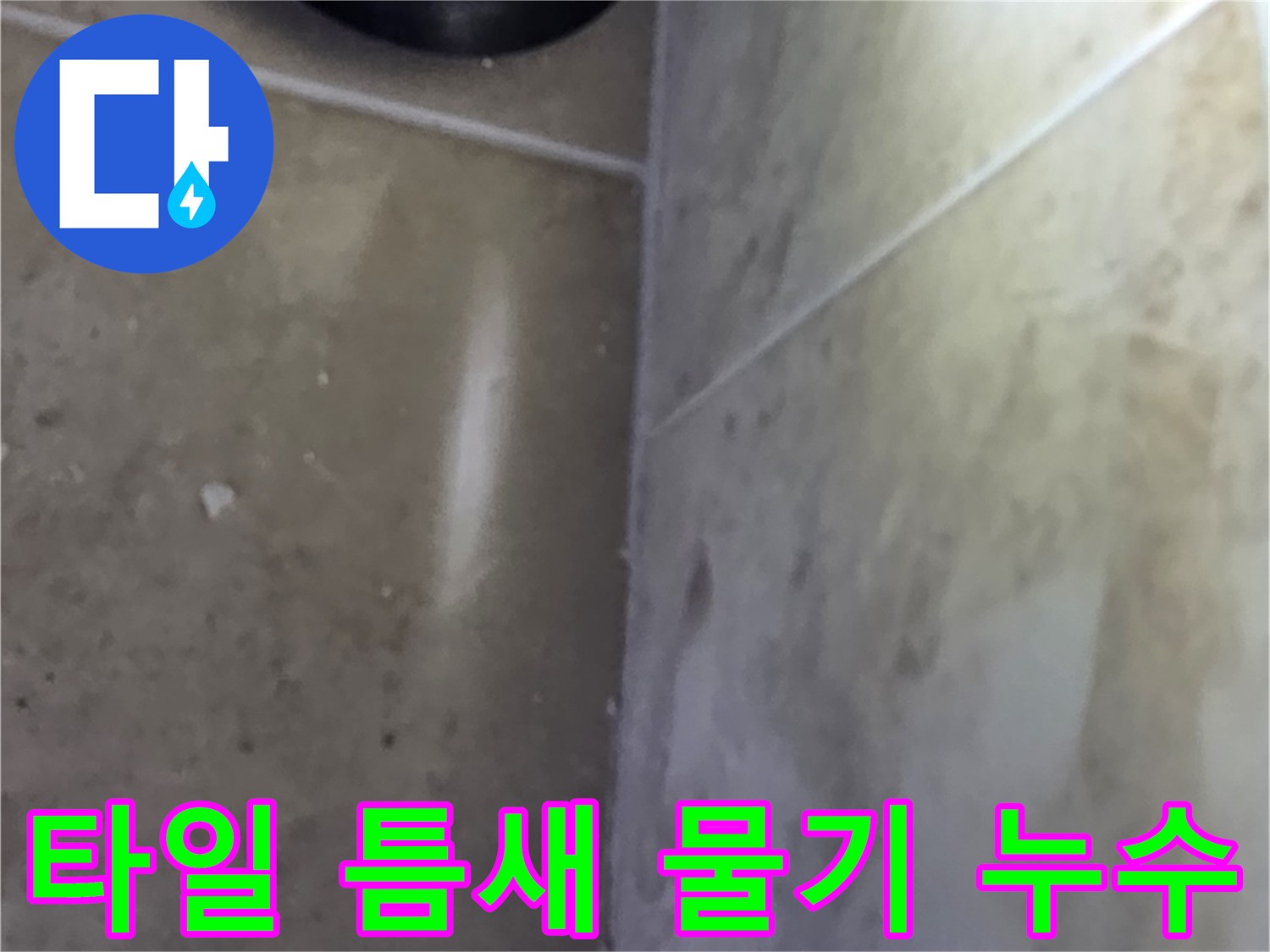 타일 사이 틈새에서 발견된 물기로-누수 발생 지점을 파악하는 현장 사진