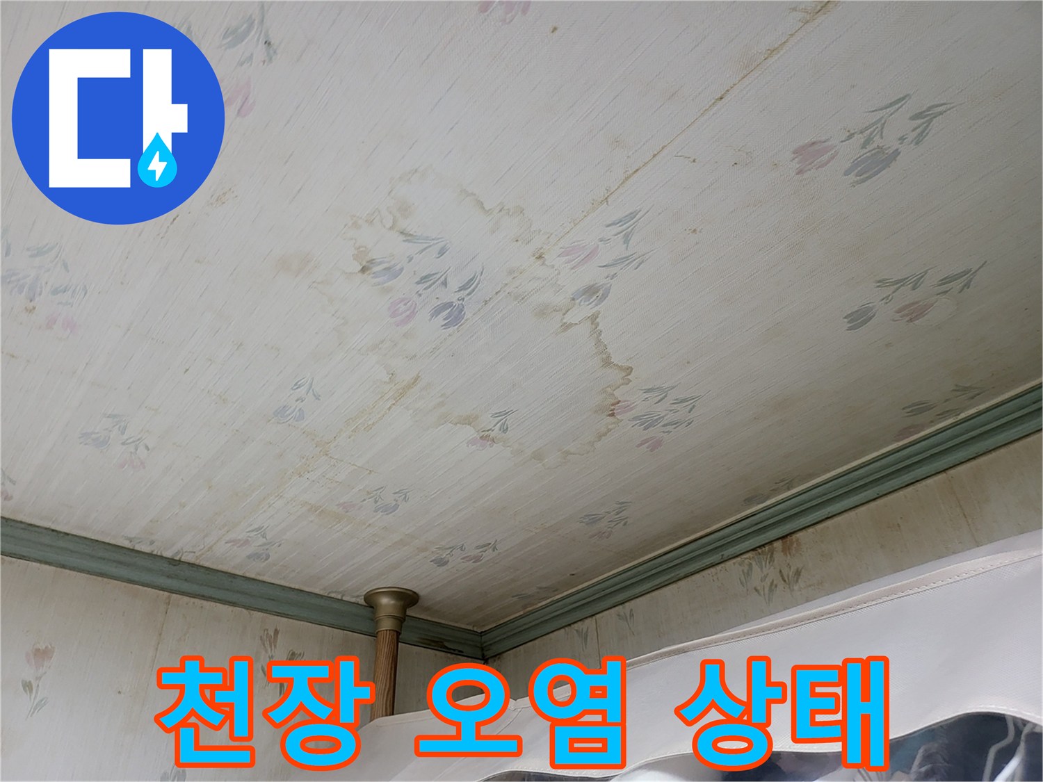 천장 벽지 곳곳에 나타난 누수 침투 흔적과 얼룩