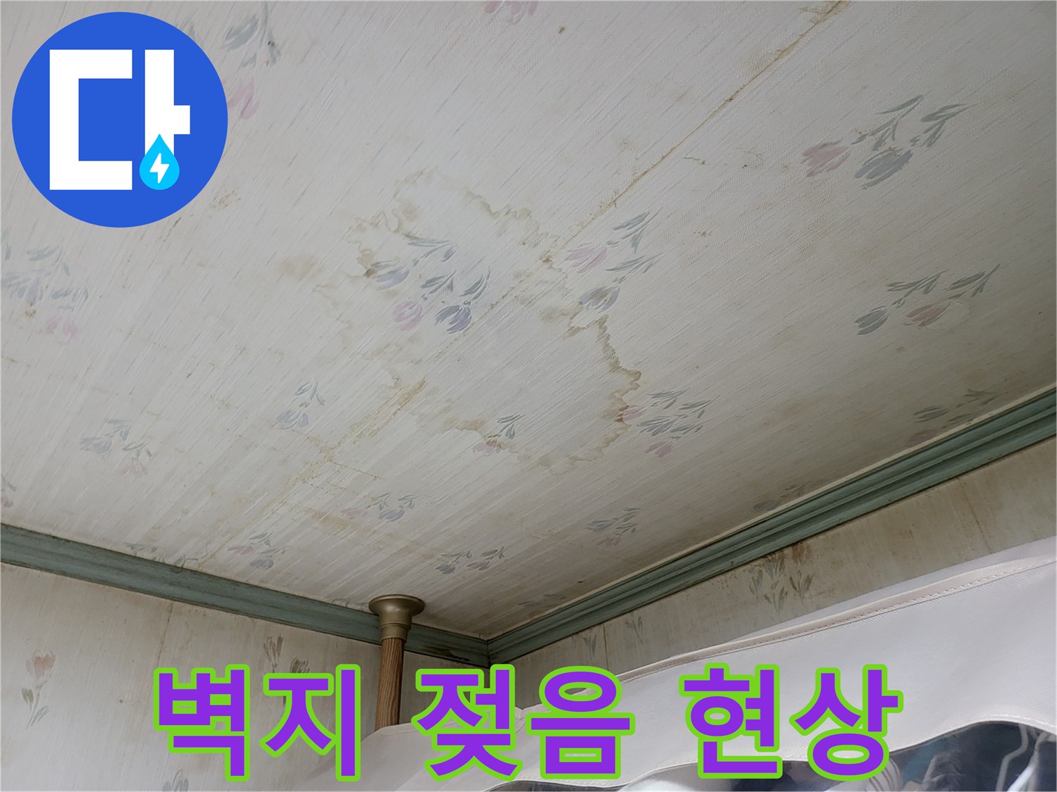 천장 벽지 곳곳에 번져 있는 누수 흔적과 물얼룩