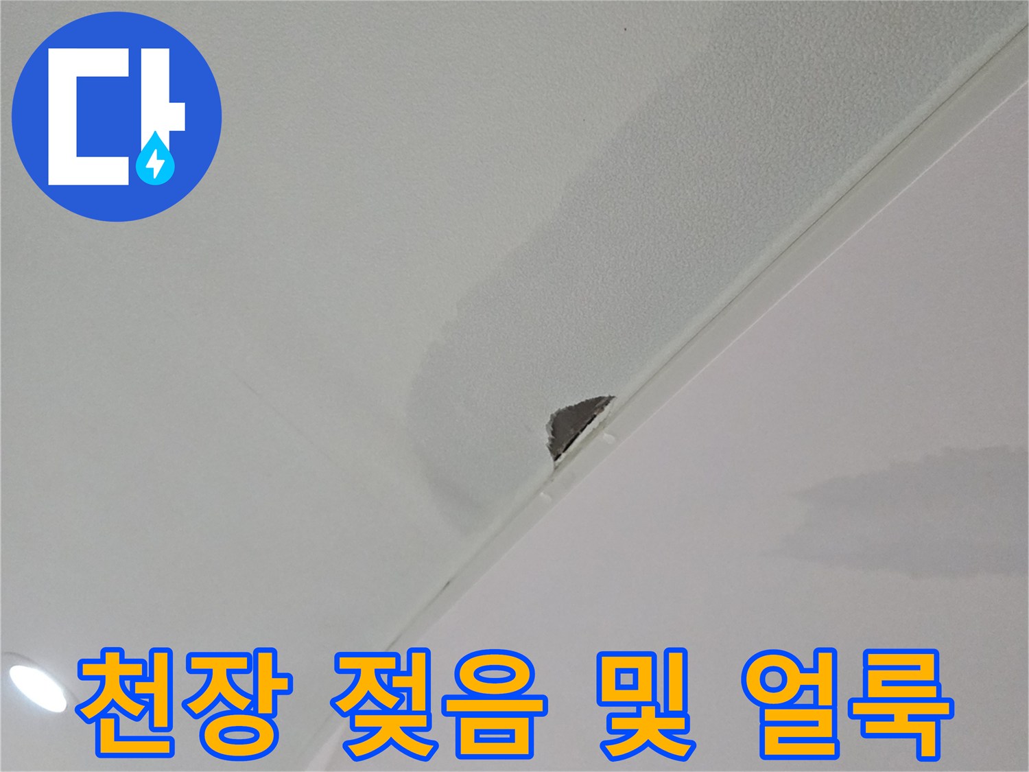 강동구 거실 천장의 물자국과 습기로 인한 젖음 현상