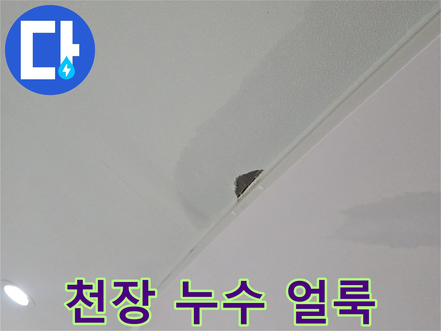천장 마감재의 물샘 및 변색 부위