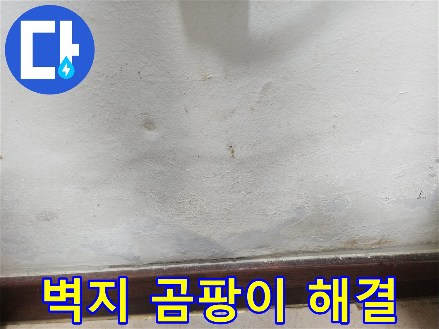 벽지-곰팡이-발생-누수-해결-전문-사진