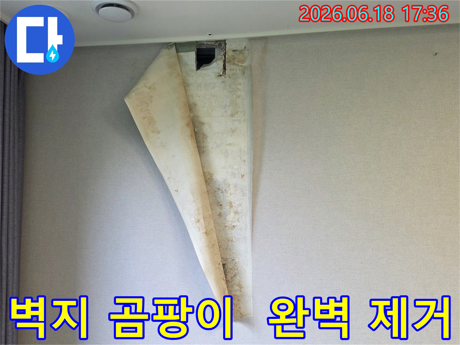 누수로 인해 벽지 안쪽에 검은 곰팡이가 심하게 번식한 주택 현장 사진