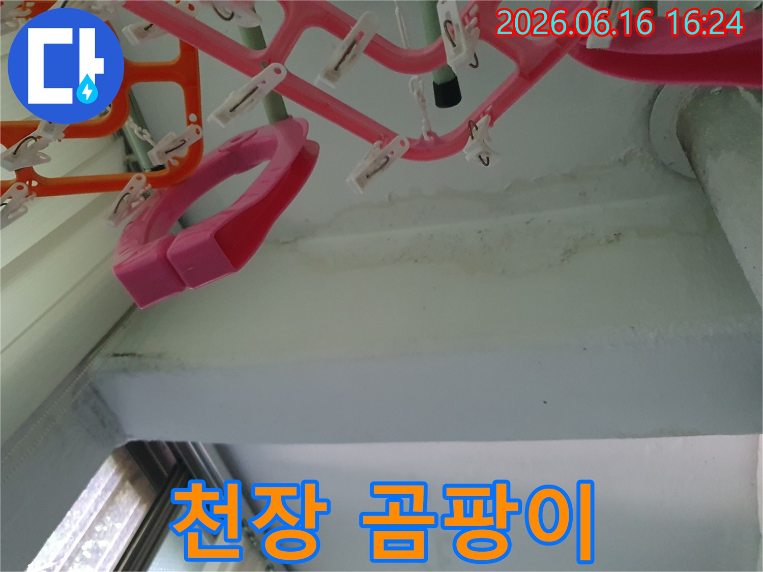 천장-모서리에-발생한-물자국과-함께-번식하기-시작한-곰팡이를-확인할-수-있는-이미지입니다