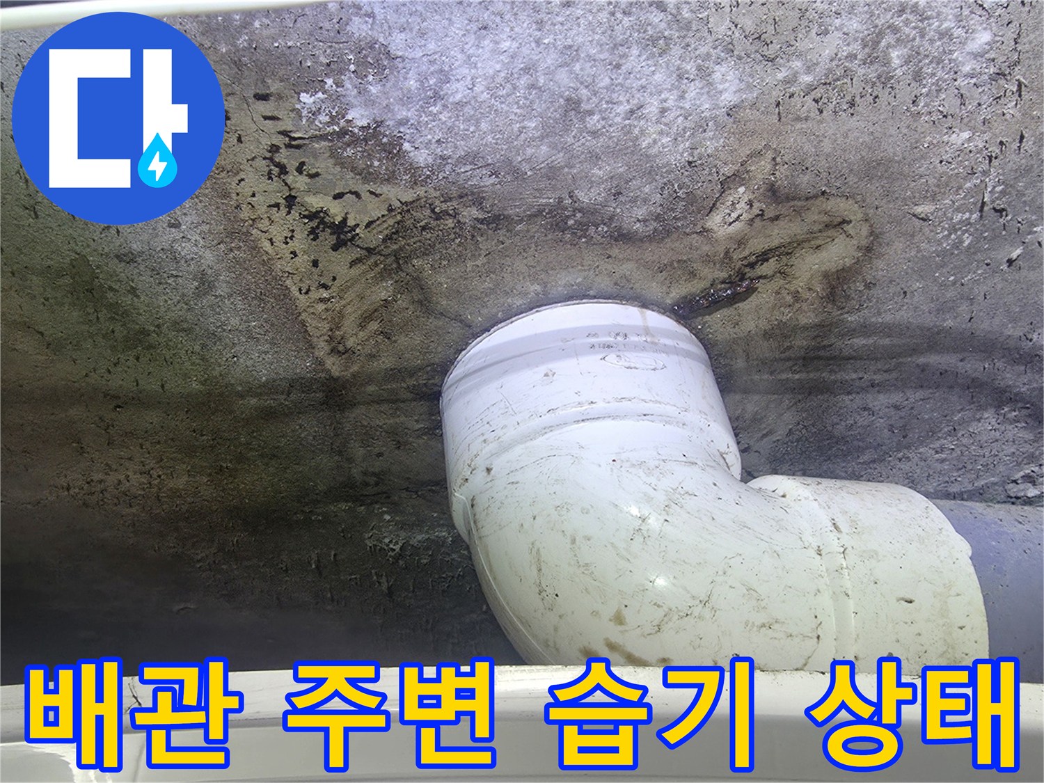 오수-배관-주위-슬라브-습기-발생-현장