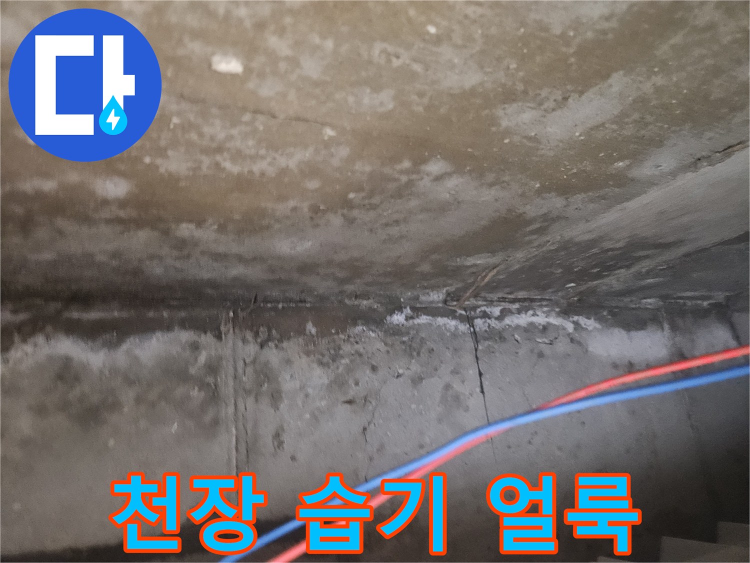배수관 주변 천장 슬래브의 습윤 상태