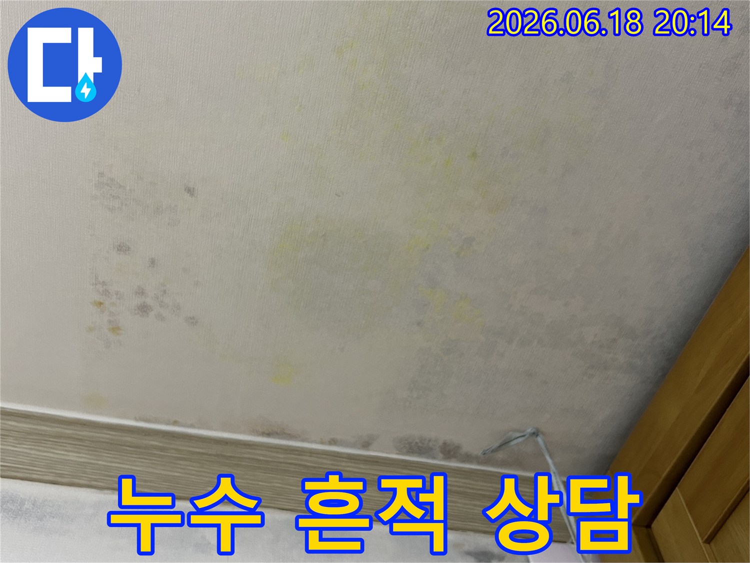 벽지 곳곳에 나타난-누수로 인한-얼룩과 곰팡이의 확산 모습