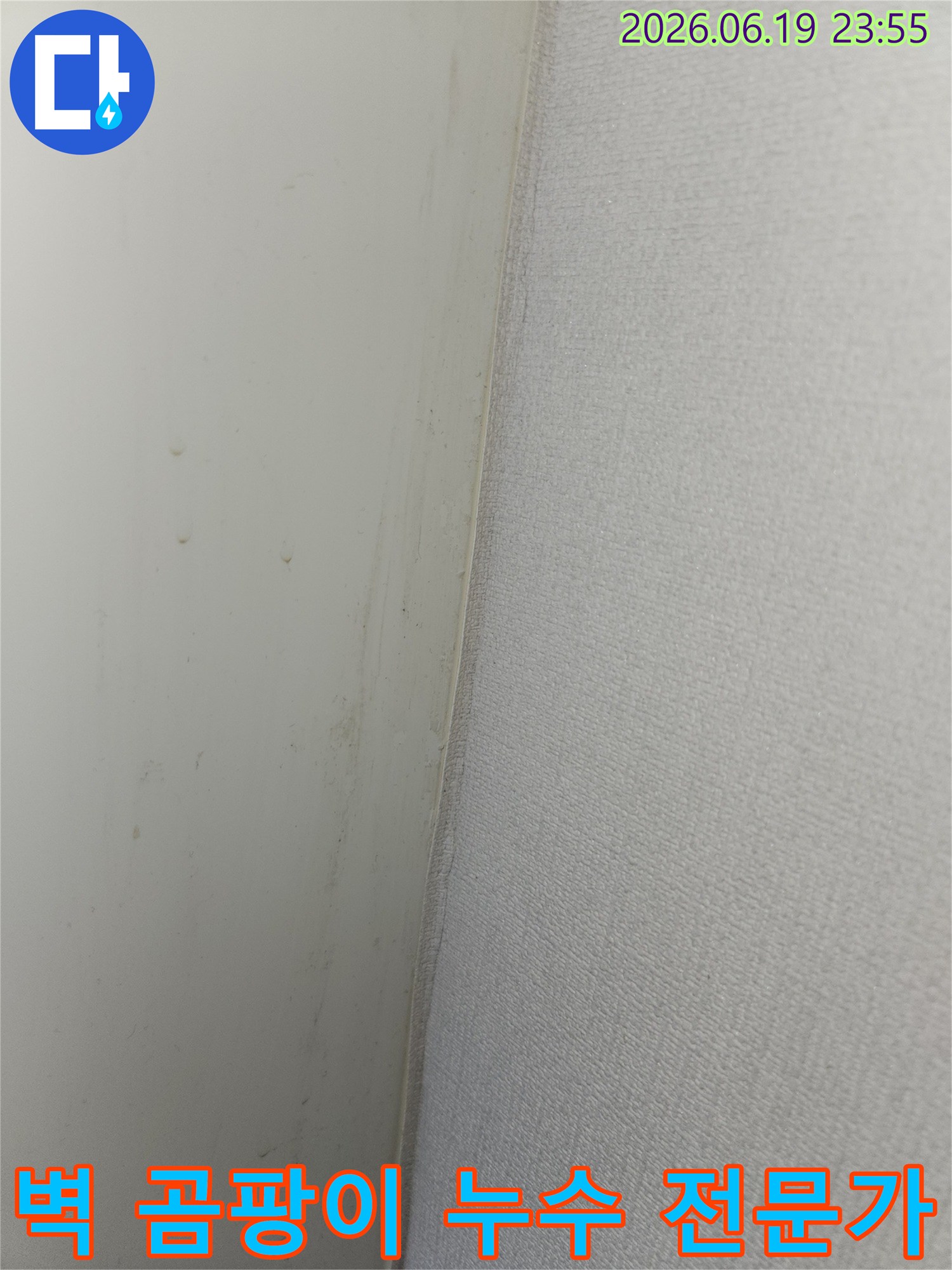 안산 상록구 비발디파크 아파트 벽면에서 발견된 곰팡이와 누수-징후를 전문가에게 맡겨 해결하는 과정의 사진