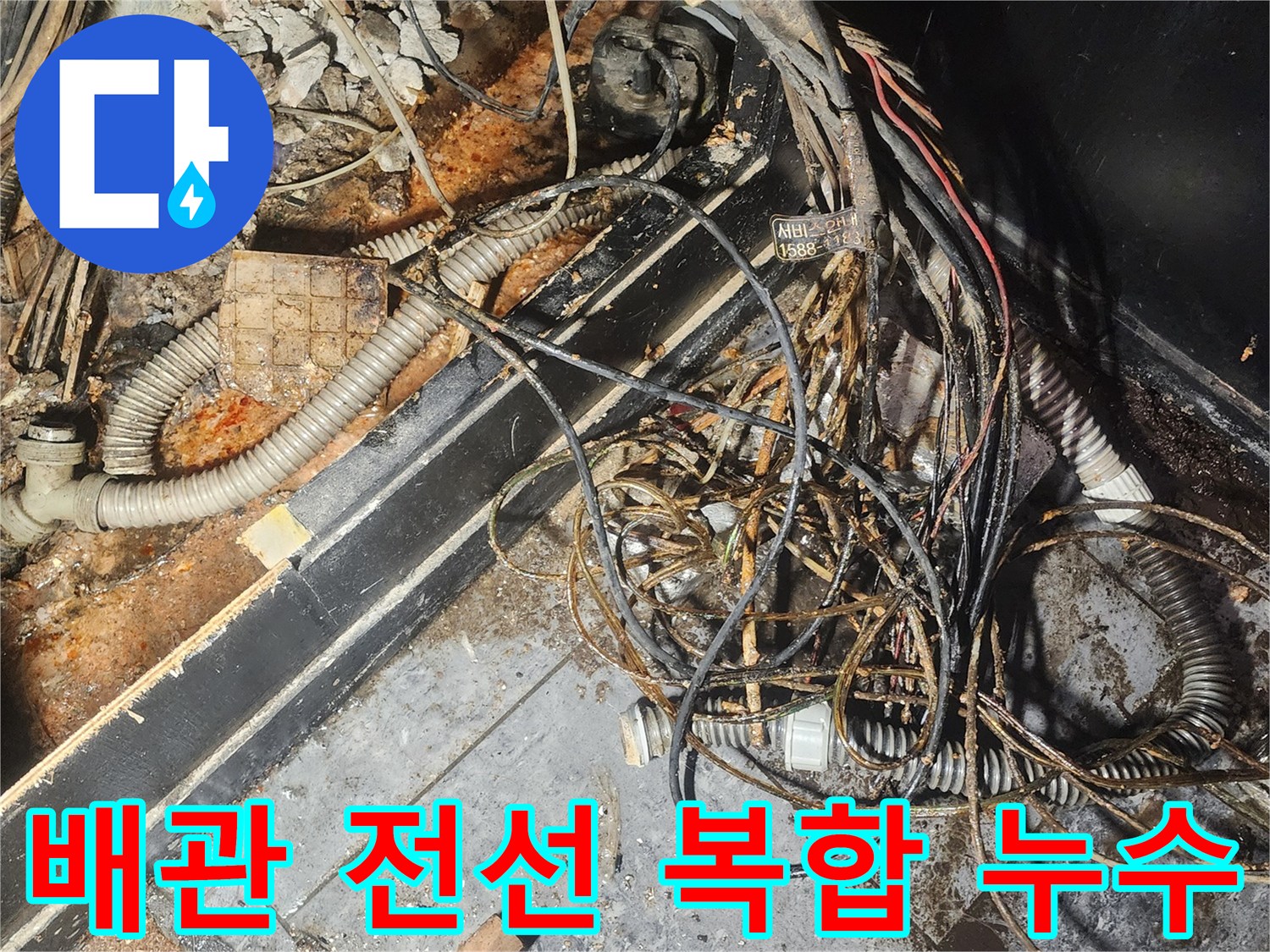 누수-엔지니어가-배관과-전선이-복잡하게-얽힌-누수-현장에서-물에-젖고-부식된-부분을-정밀하게-조사하고-있습니다