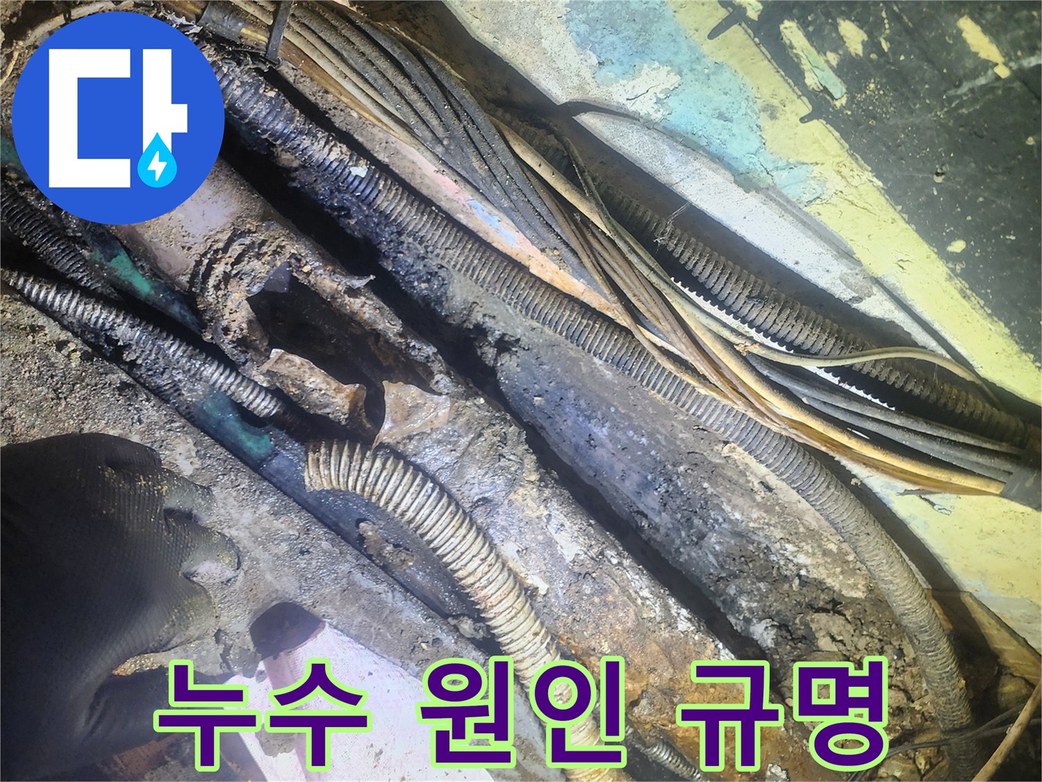 누수-원인-규명을-위해-발굴된-심하게-손상된-배관과-주변-전선들