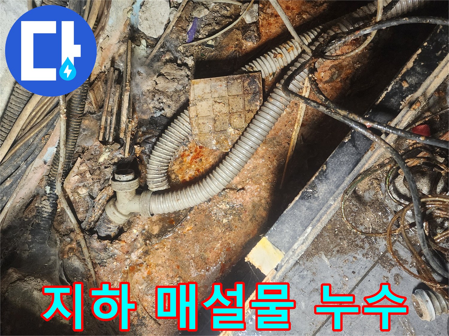 지하-매설물-사이에서-누수-지점을-파악하여-굴착한-배관-모습