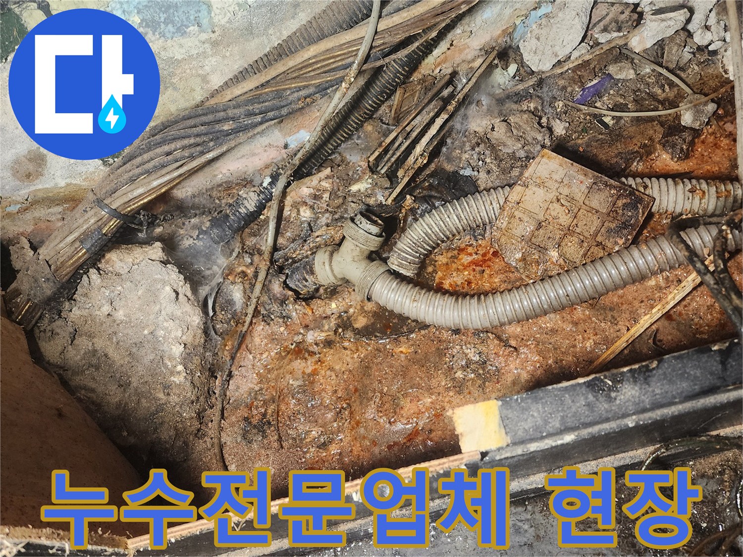 퇴계로-누수-전문업체가-정확한-진단과-시공을-위해-누수-현장을-촬영한-사진입니다