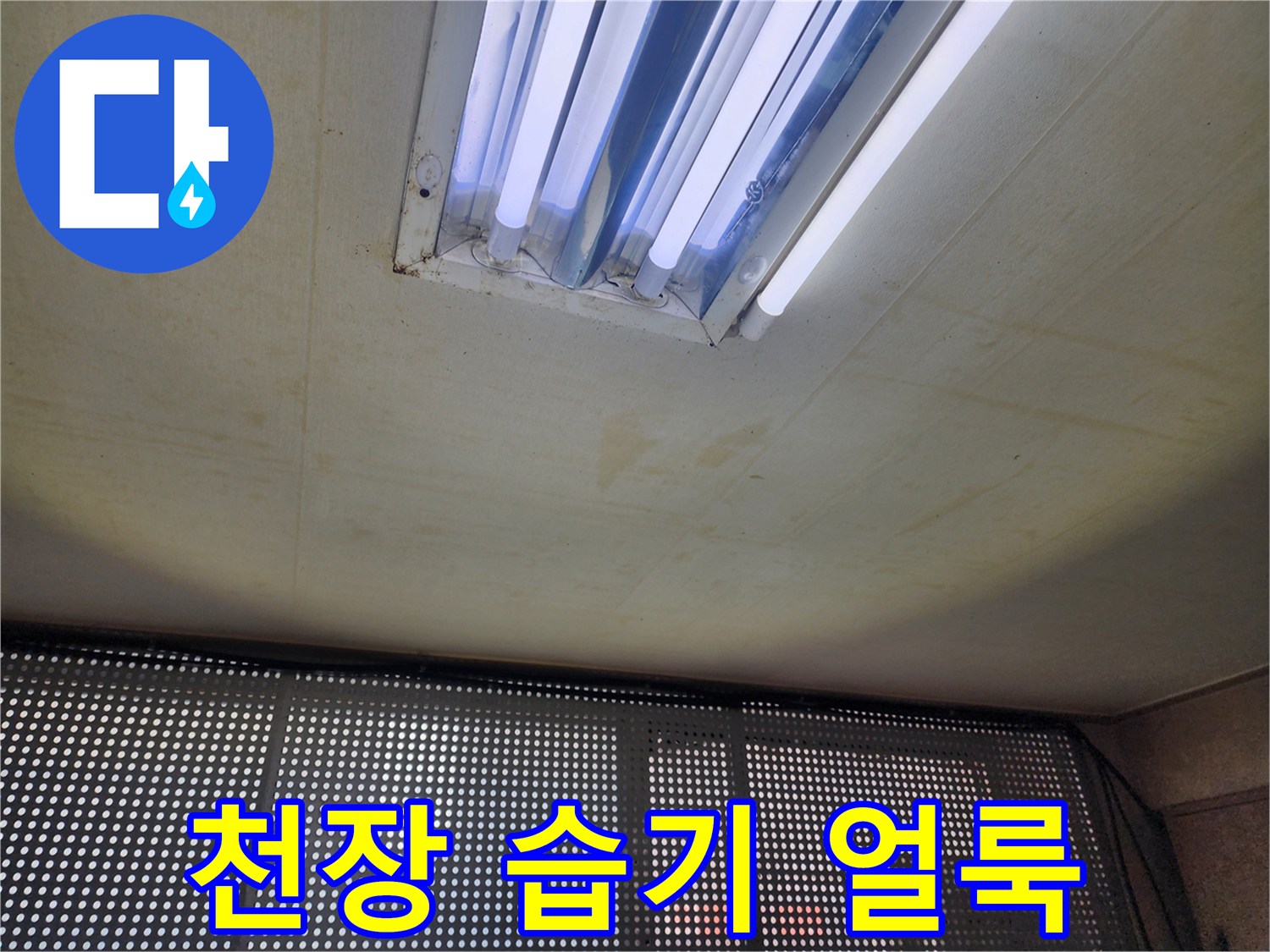 천장 마감재에 나타난 누수 피해 흔적과 변색 부위