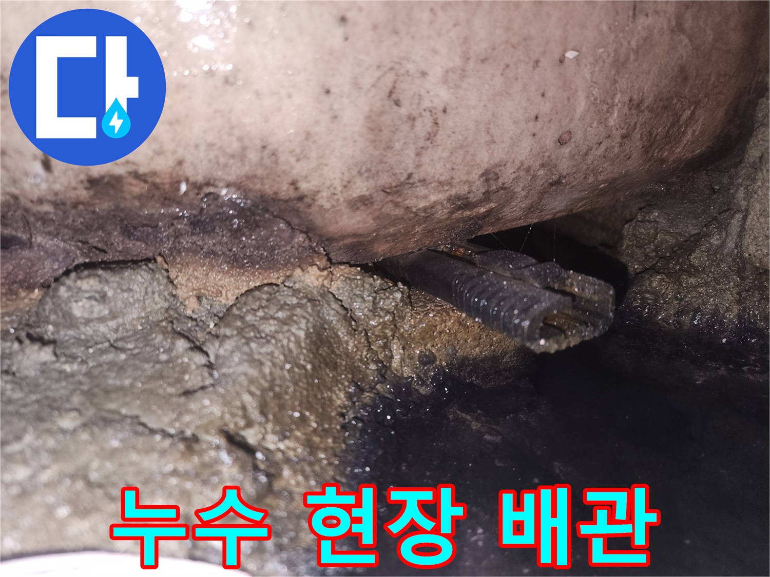 누수-진단-과정에서-포착된-오염된-배관과-주변-환경입니다