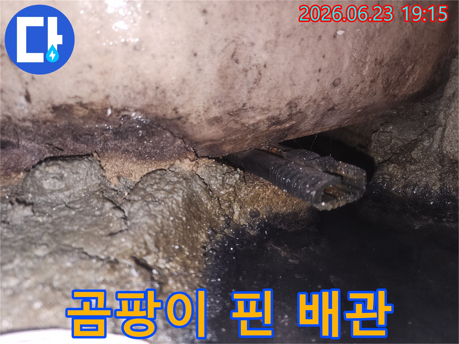 누수-탐지-후-발견된-오염된-배관-상태를-자세히-보여줍니다