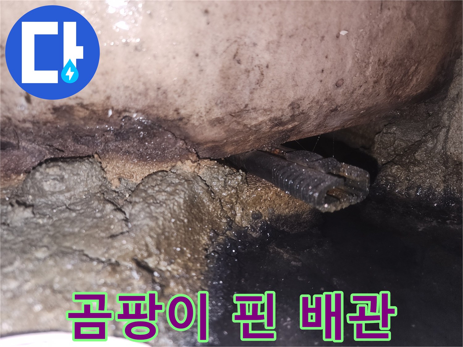 누수-탐지-후-발견된-오염된-배관-상태를-자세히-보여줍니다