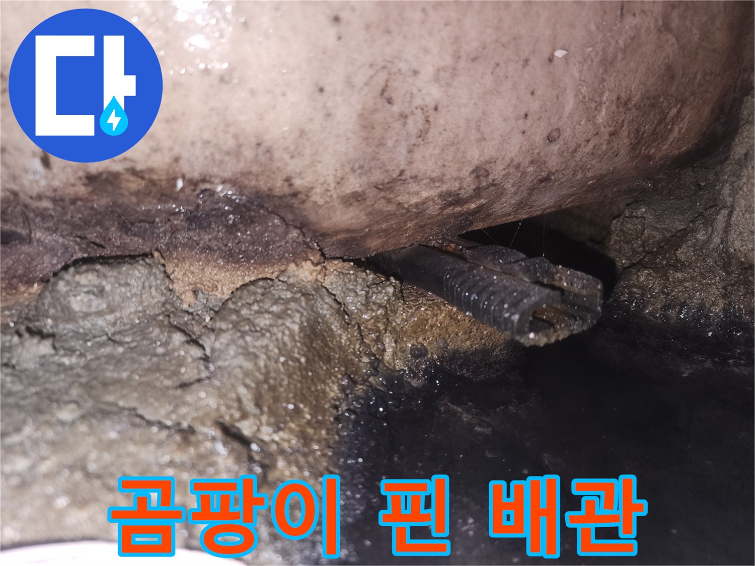 누수-탐지-후-발견된-오염된-배관-상태를-자세히-보여줍니다