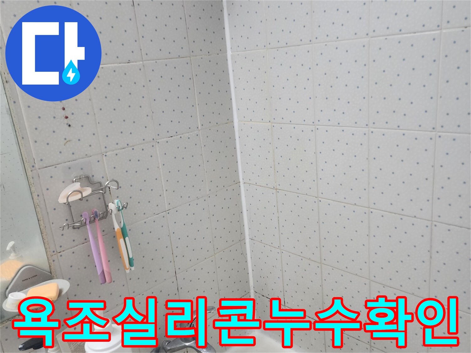동대문구-사가정로-아파트-욕실-누수-욕조-주변-실리콘-상태-정밀-확인
