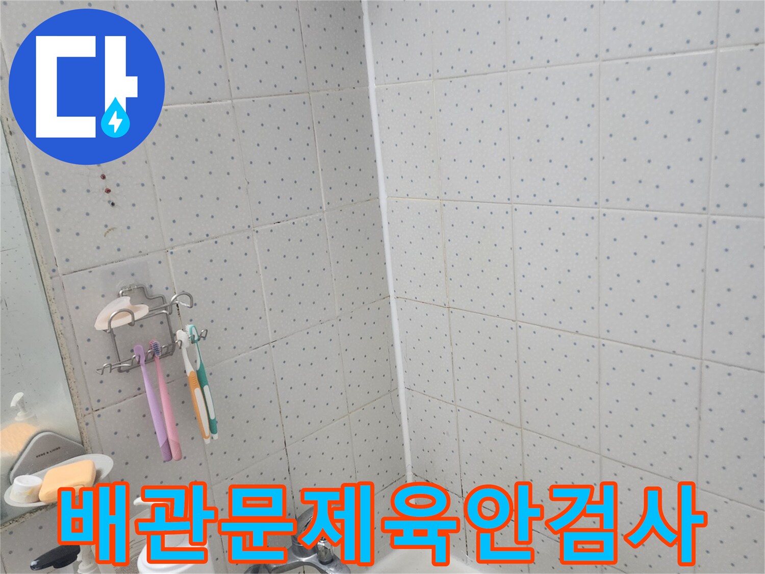 서울-동대문구-욕실-누수-배관-문제-가능성-육안-검사-현장-모습