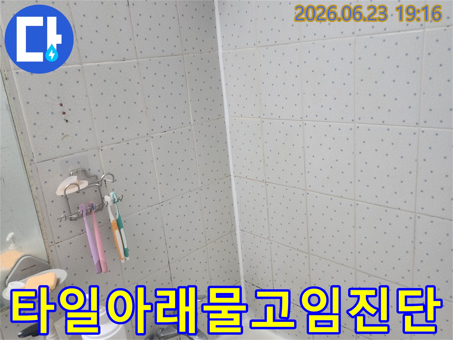 한신아파트-아랫집-누수-욕실-타일-아래-물-고임-현상-진단-모습