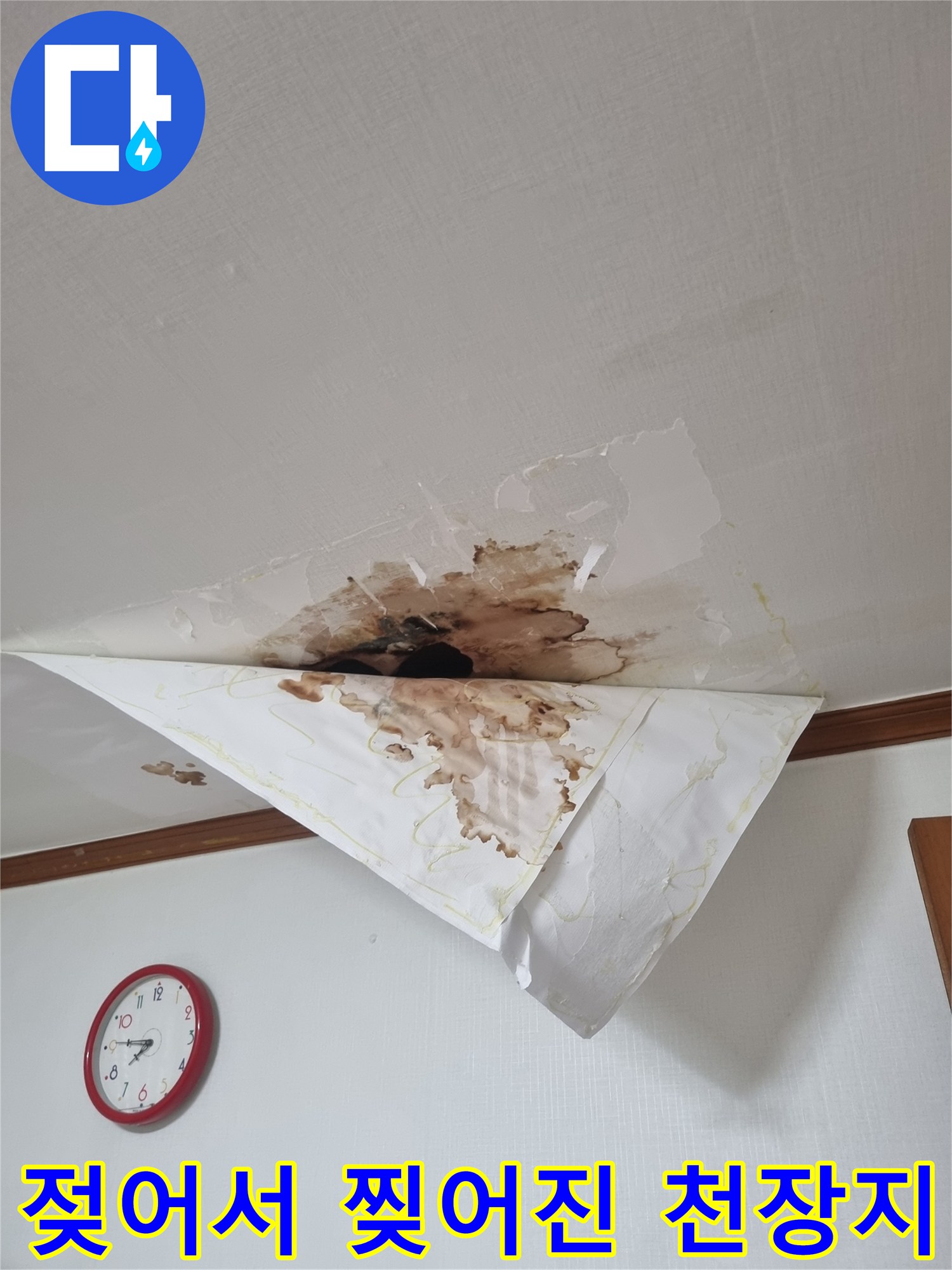 천장 벽지가 물에 젖어 갈색으로 변하고 찢어져 있는 모습