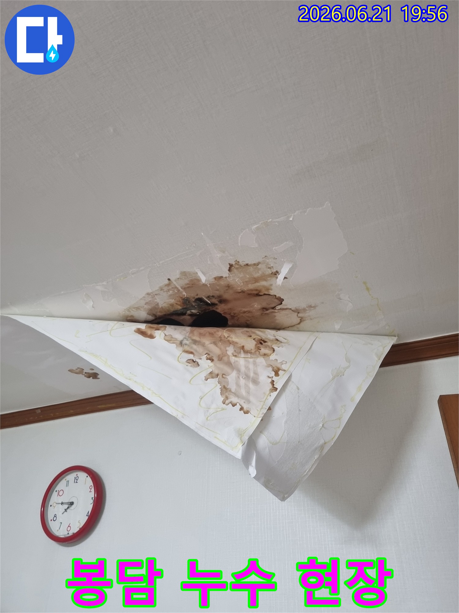 천장에서 물이 새어 벽지가 심하게 젖고 찢어진 모습-누수 전문 엔지니어의 정밀 탐지가 필요한 상황