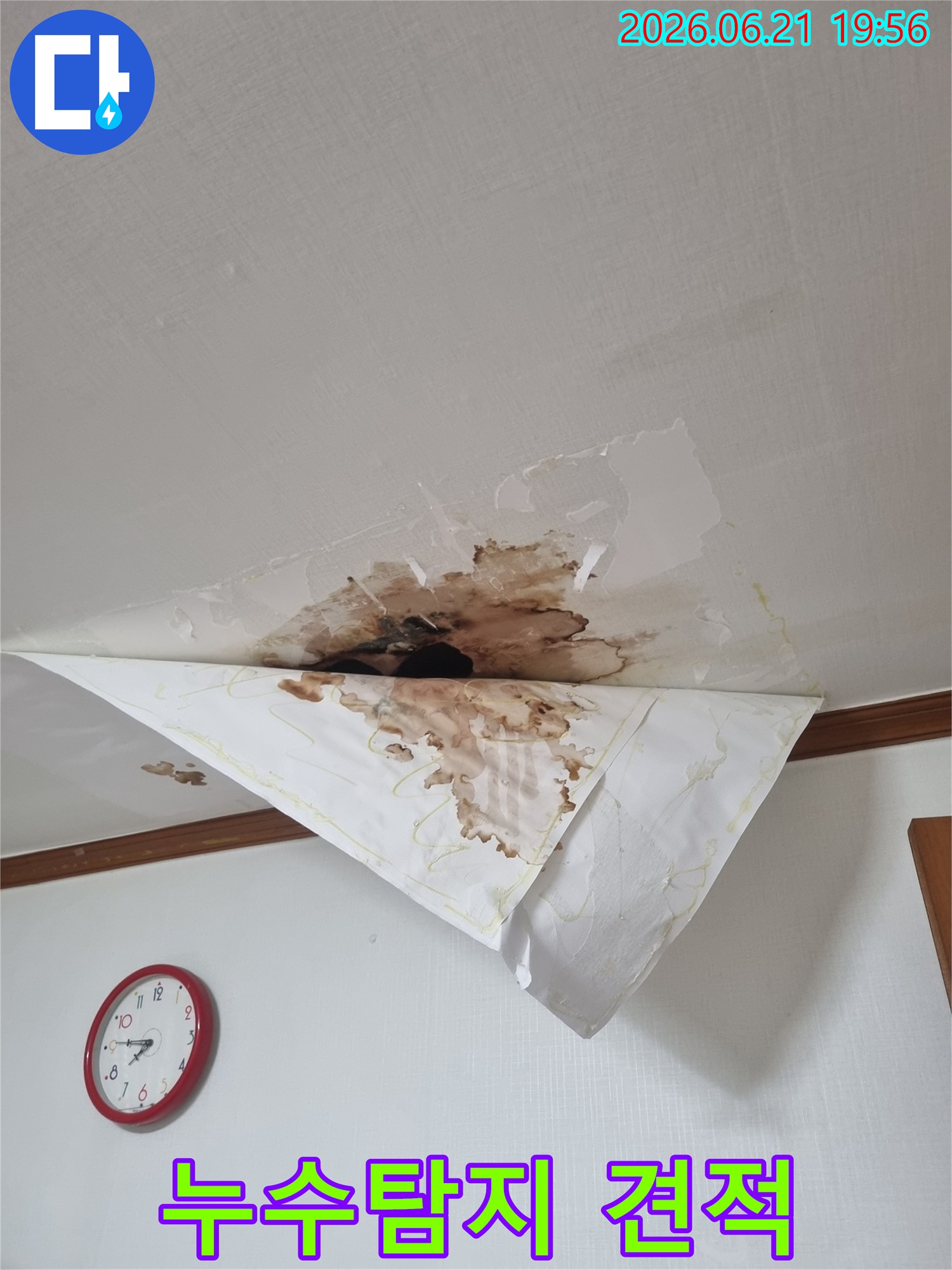 천장에서 물이 새어 벽지가 젖고 얼룩진 모습-누수탐지 비용 및 견적 문의가 필요한 상황입니다