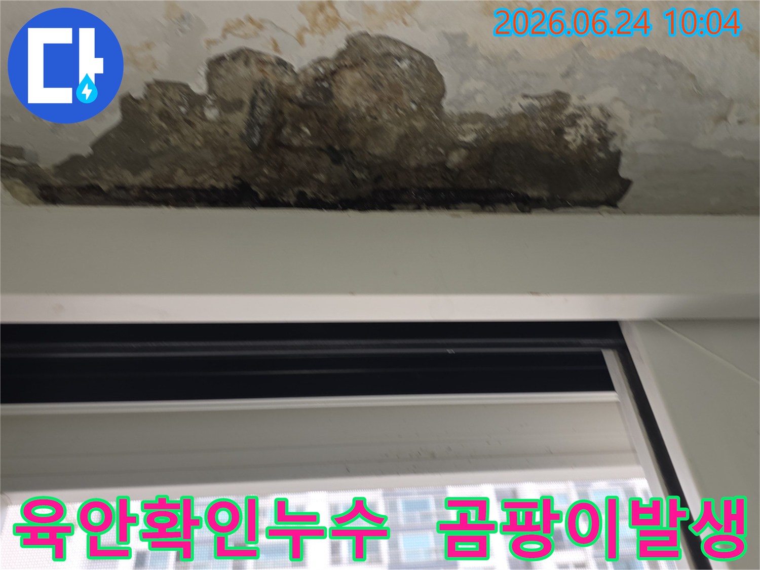 누수-탐지-전-육안으로-확인된-천장-손상-부위와-곰팡이