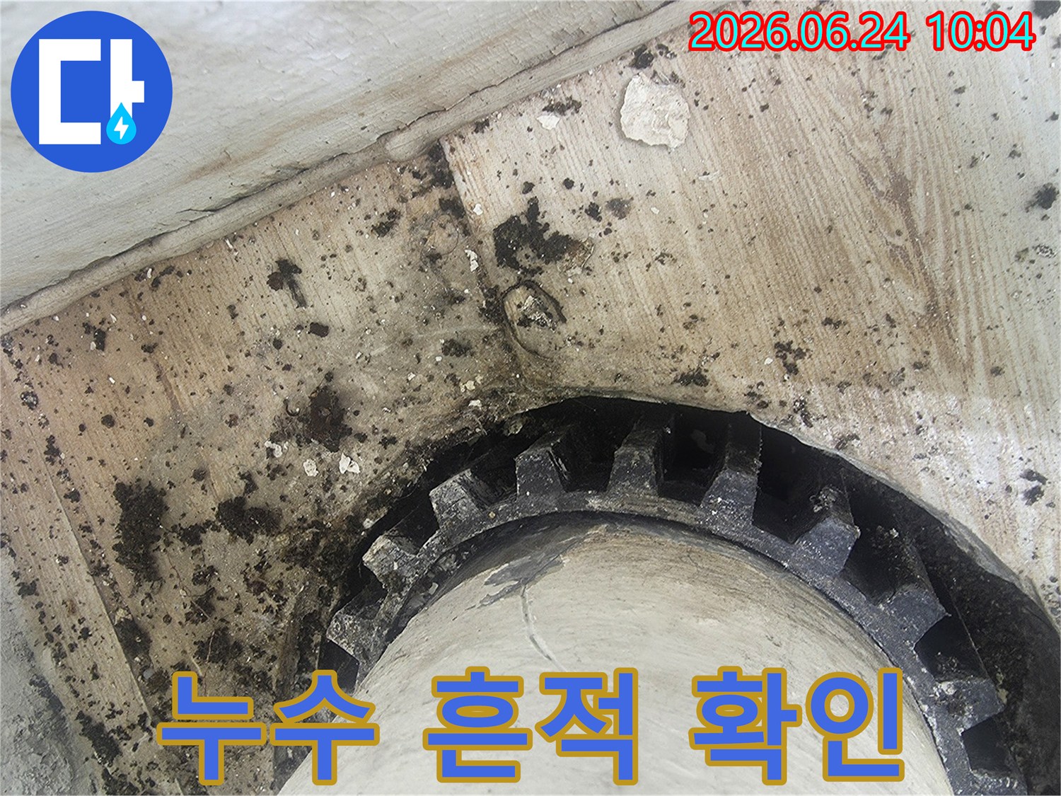 오래된 배관 주변에-물이 새어-검은 곰팡이와-물때가 심하게-생긴 모습을-보여주는 누수 현장
