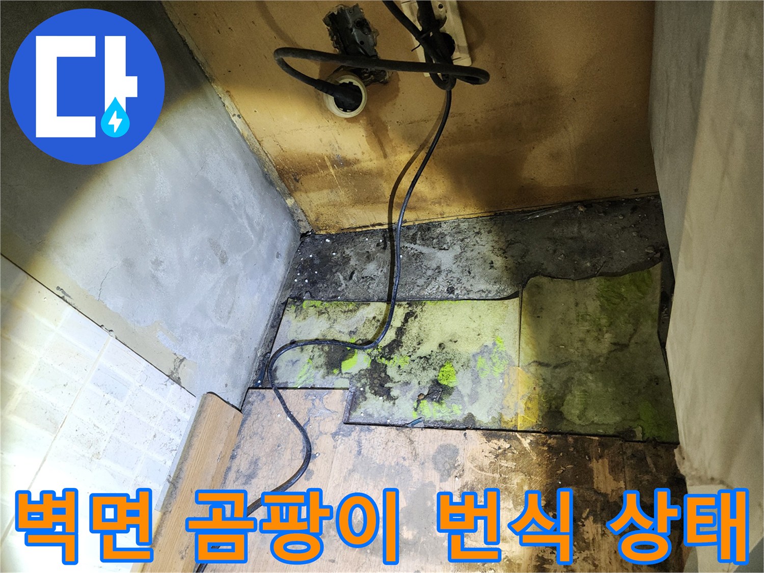 물샘 현상으로 인해 곰팡이가 넓게 퍼진 실내 벽면 사진