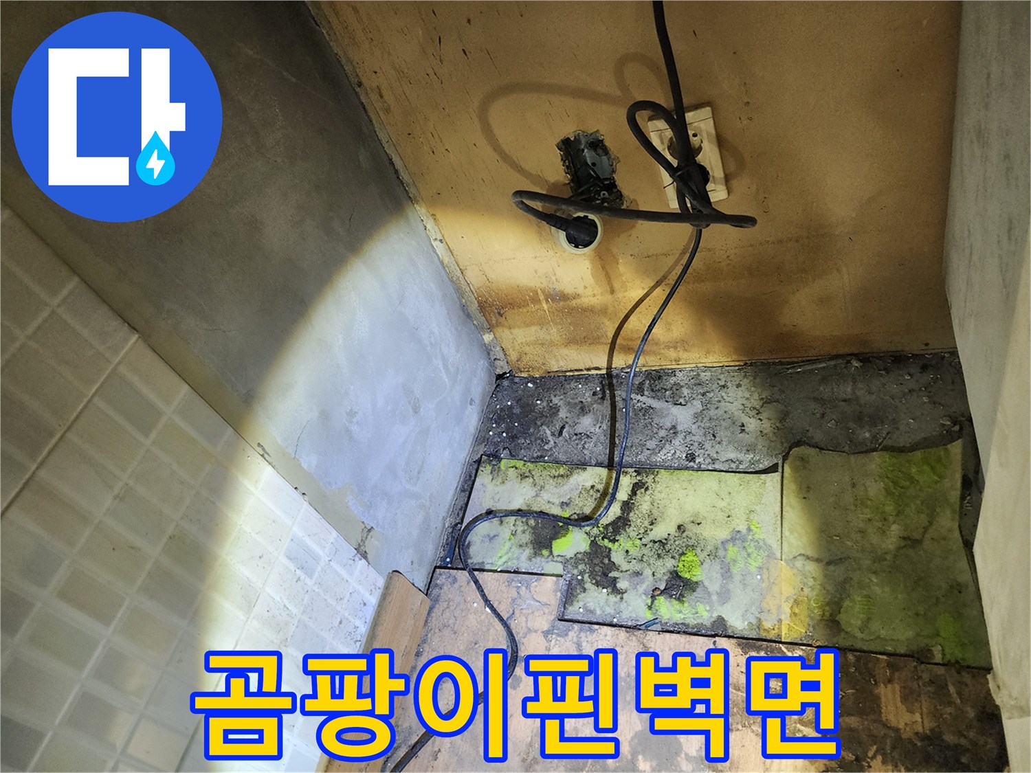 송파구 현장-누수로 인한 벽체 곰팡이 오염