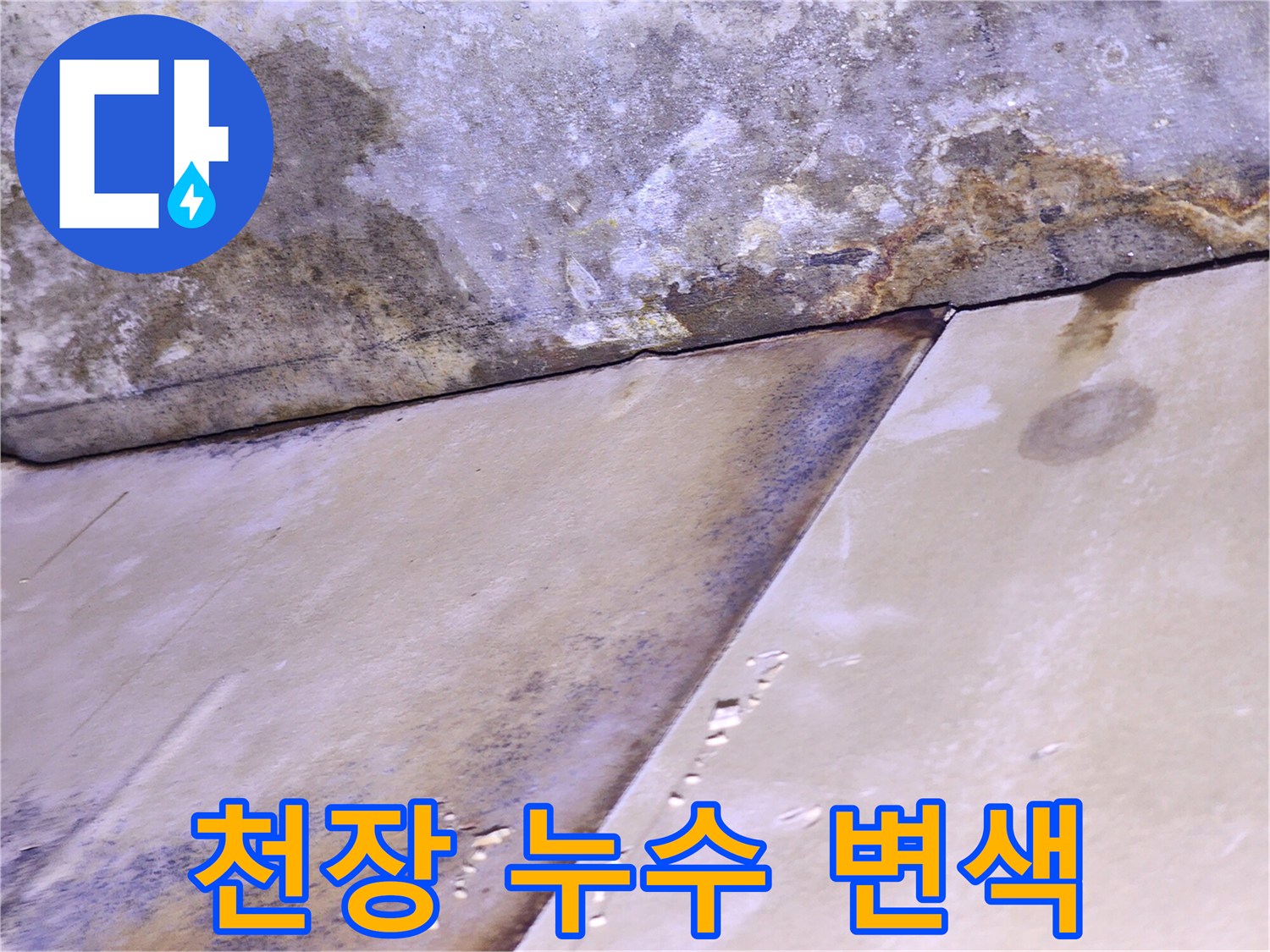 습기에 의한-천장 마감재와 콘크리트 곰팡이 오염