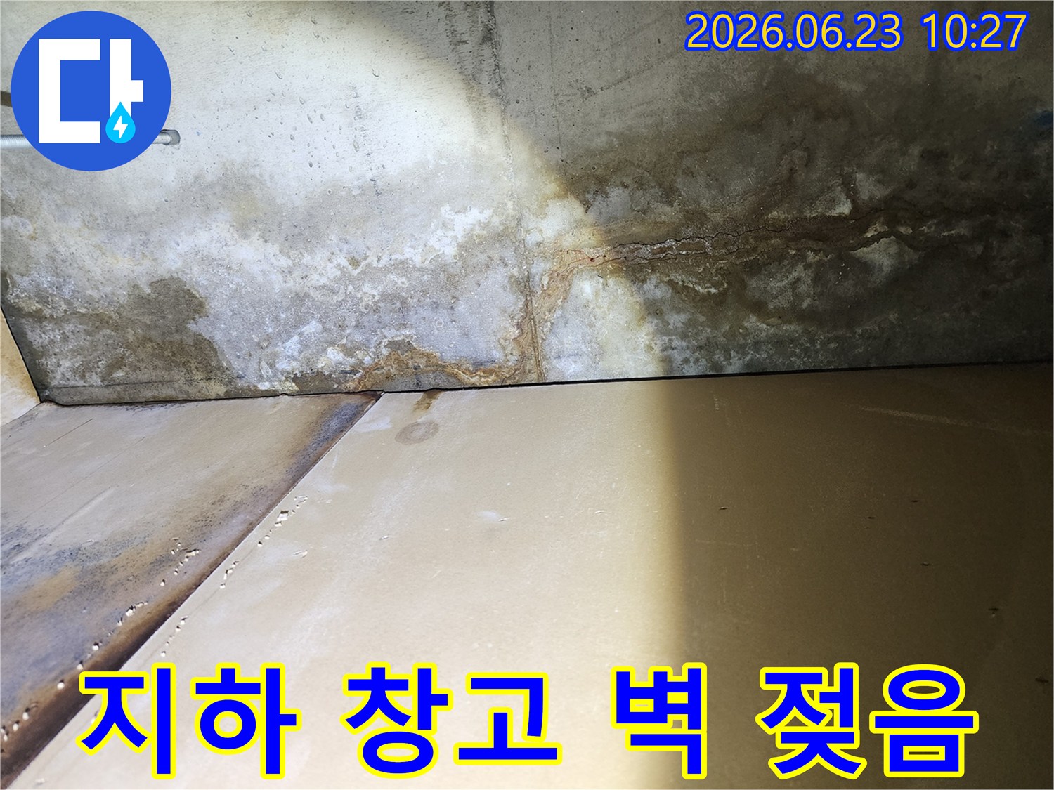 주택 지하-창고의-벽면이-누수로-인해-심하게-젖고-곰팡이가-번식한-모습을-보여주는-사진입니다