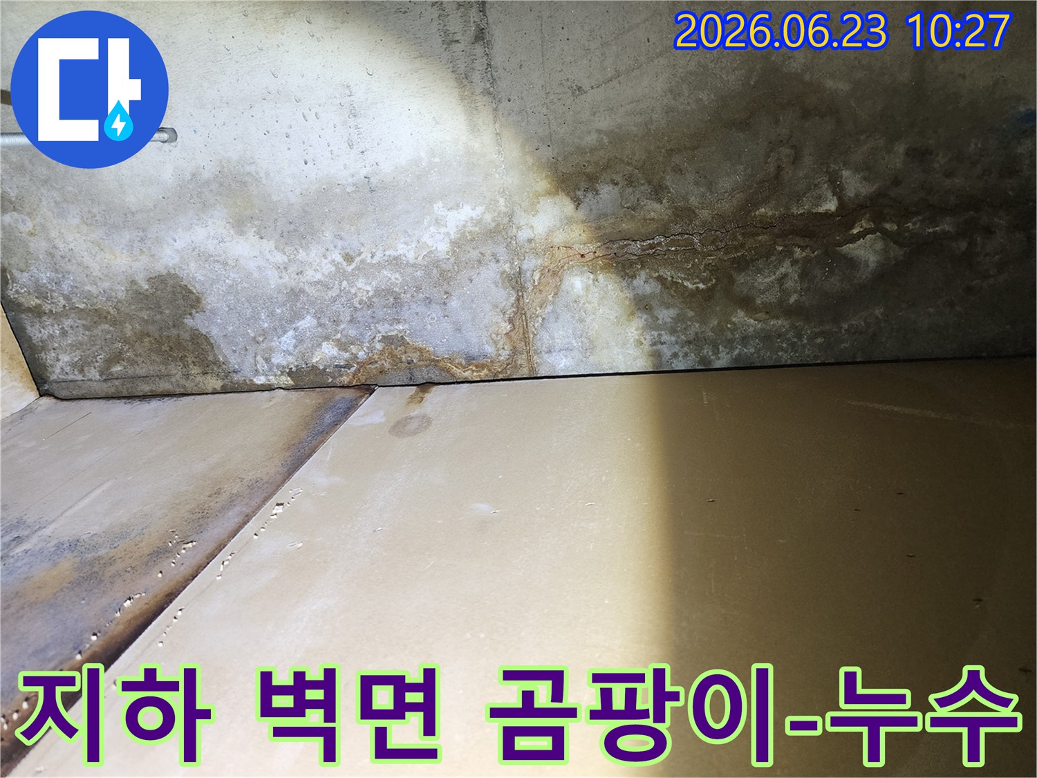 지하 벽면에-발생한-심각한-곰팡이와-누수-흔적을-보여주는-현장-사진입니다
