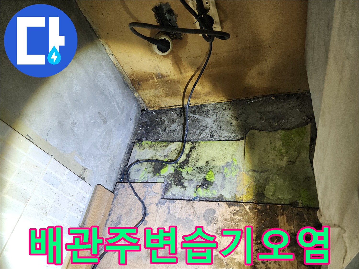 천장하부-배관 주변으로 번진 곰팡이와 습기 흔적