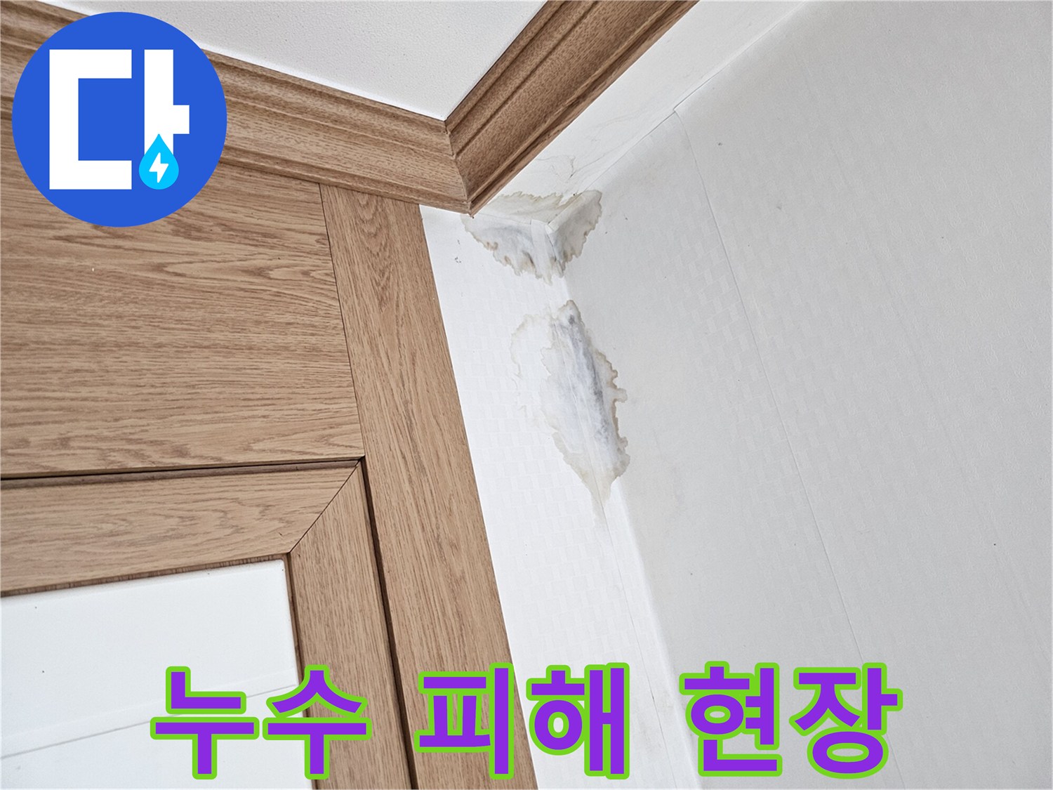 누수로 인해-벽지가 젖고-곰팡이가 피어난-집안의-손상된-벽면 모습.