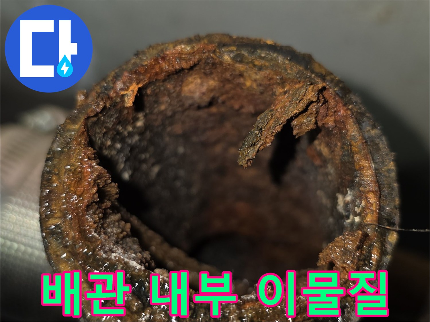 기존 노후 배관 속에 엉겨 붙은 머리카락과 오물들
